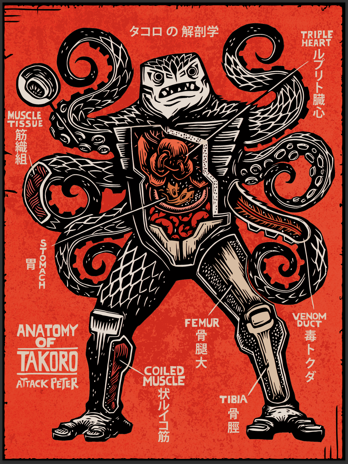 Takoro Anatomy Screen Print